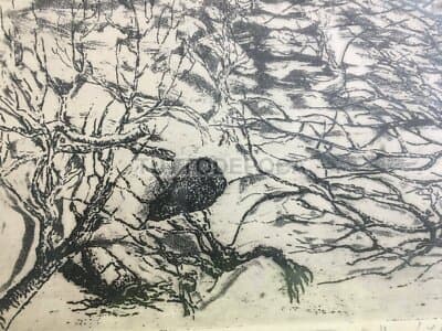 Marche, Civitanova: Veduta Panoramica Con Palazzi In Costruzione, Edilizia E Barche