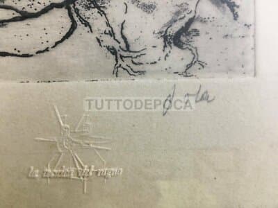 Marche, Civitanova: Veduta Panoramica Con Palazzi In Costruzione, Edilizia E Barche