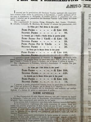Marche, Ancona, Jesi, Senigallia. Zootecnia: Premiazione Mucche E Tori, 1871