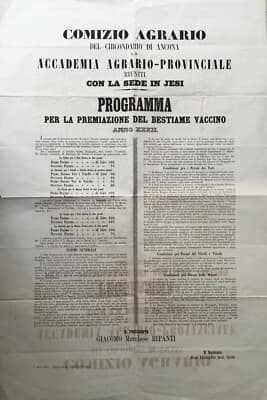 Marche, Ancona, Jesi, Senigallia. Zootecnia: Premiazione Mucche E Tori, 1871