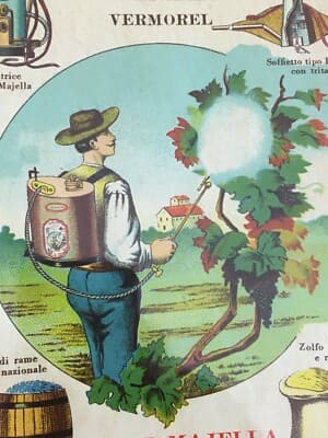 Abruzzo, Lanciano: Agricoltura, Enologia E Zolfo. Pompa Majella, Pubblicità d'Epoca