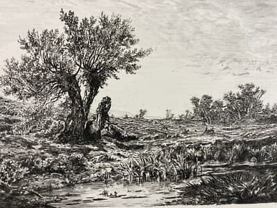 Edoardo Perotti: Paesaggio Campestre, Incisione Originale All'Acquaforte, Lovera, XIX Secolo