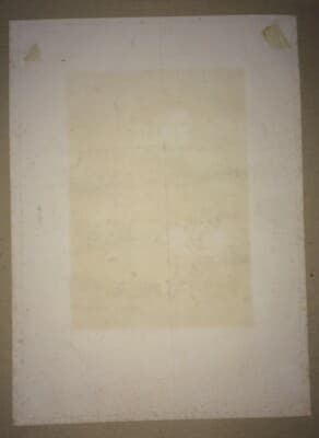 Ritratto Di Andrea Del Sarto. Incisione All'Acquaforte Di Pradier Da Anastasi, XIX Secolo