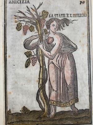 Mitologia: Allegoria Dell'Amicizia, Stagioni Estate E Inverno, Vino E Uva