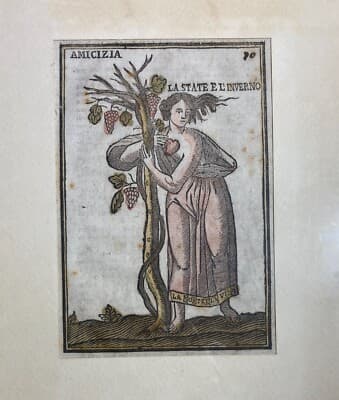 Mitologia: Allegoria Dell'Amicizia, Stagioni Estate E Inverno, Vino E Uva