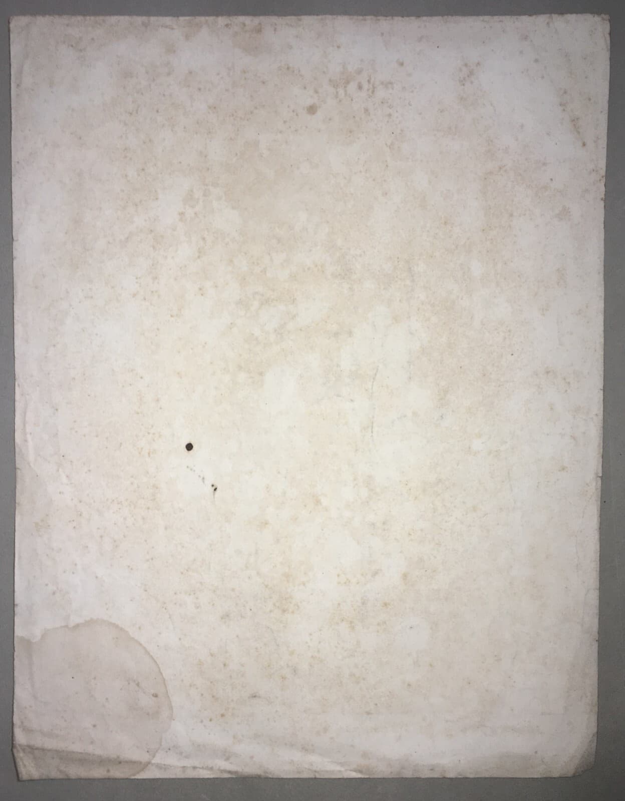 Antico Ritratto   F. Gonnet   Litografia Bertauts