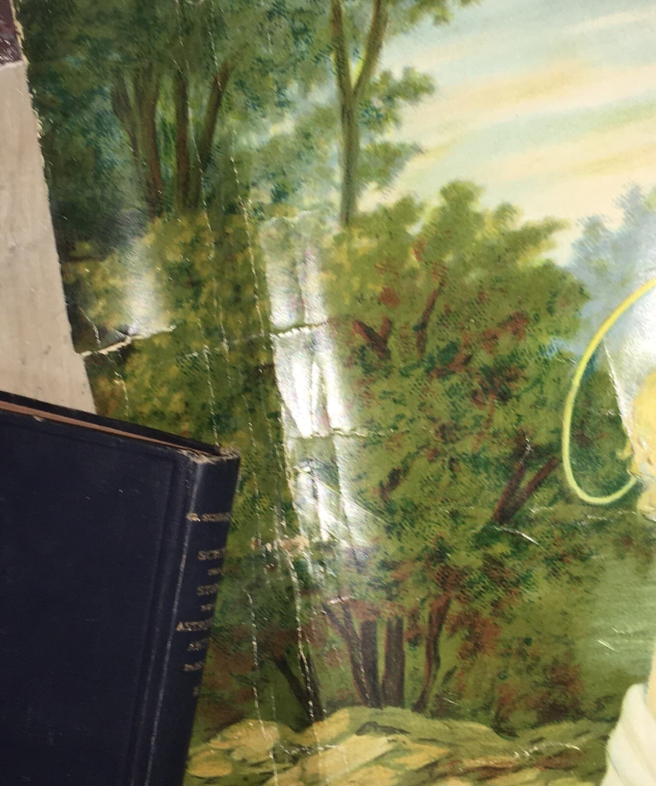 Madonna Con Bambino. Grande Stampa Cromolitografica Devozionale