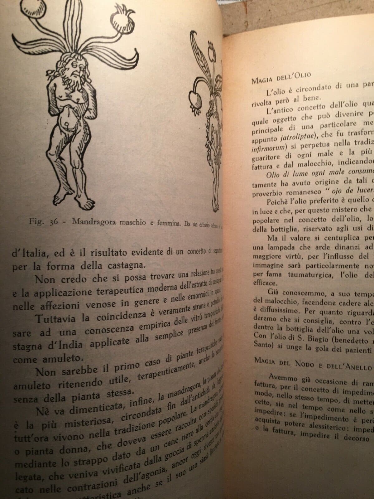 Storia, Tradizioni E Leggende Nella Medicina Popolare (1940)