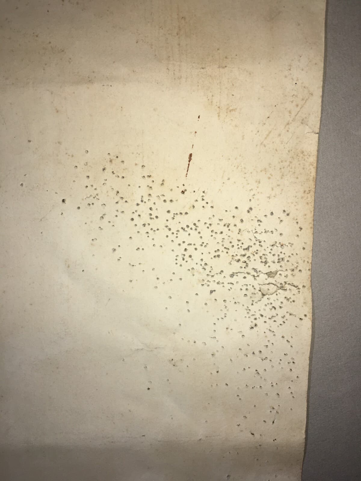 Ritratto d'Epoca Di Domenico Roncaglia, Opera Originale Firmata E Datata 1888