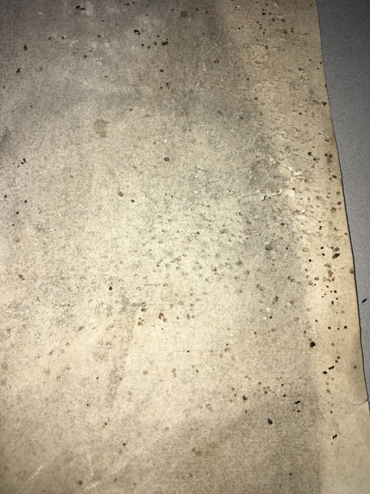 Ritratto d'Epoca Di Domenico Roncaglia, Opera Originale Firmata E Datata 1888