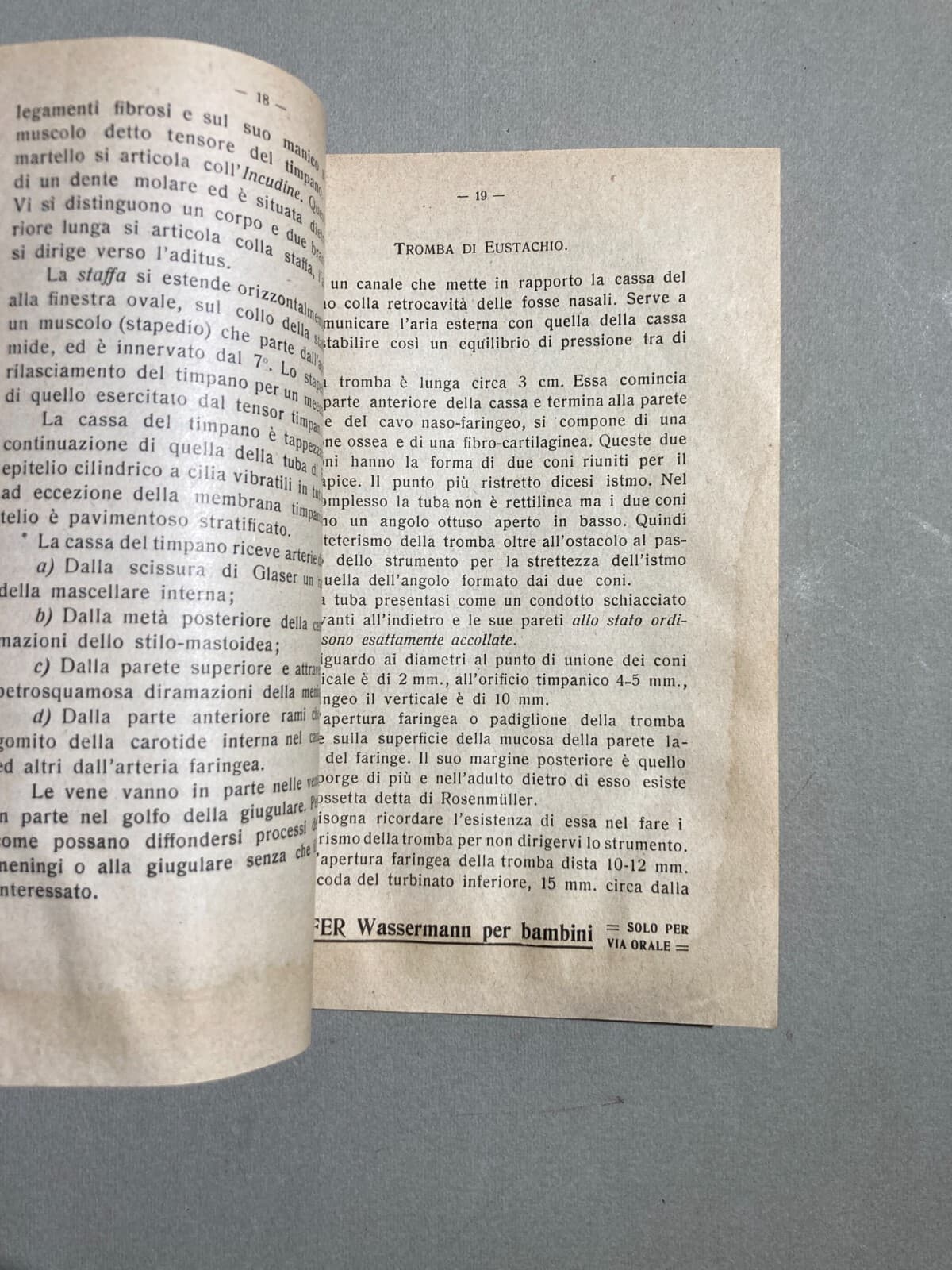 Medicina: Otorinolaringoiatria, Malattie Dell'Orecchio, 1913