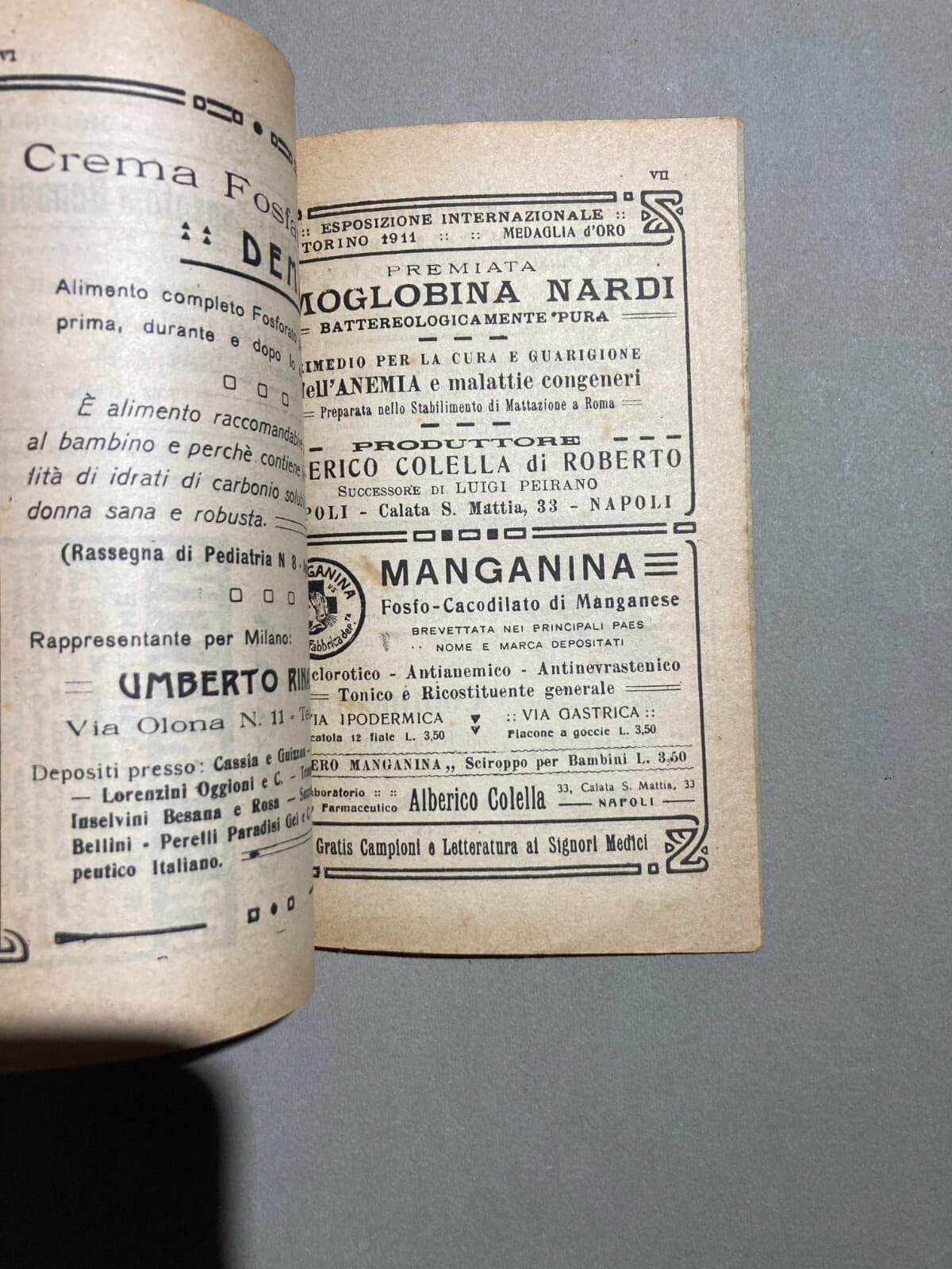 Medicina: Otorinolaringoiatria   Naso, Fosse Nasali E Olfatto