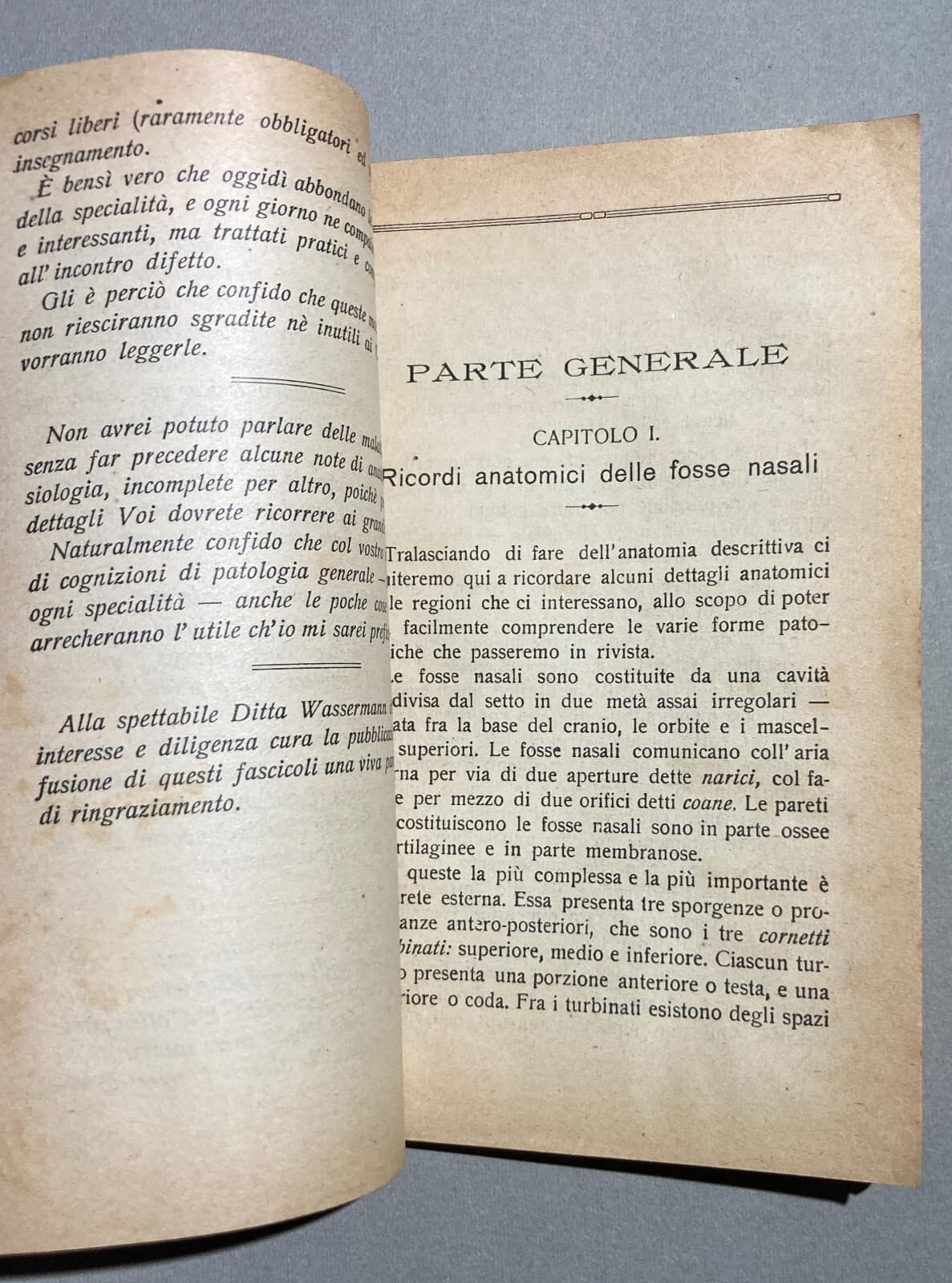 Medicina: Otorinolaringoiatria   Naso, Fosse Nasali E Olfatto