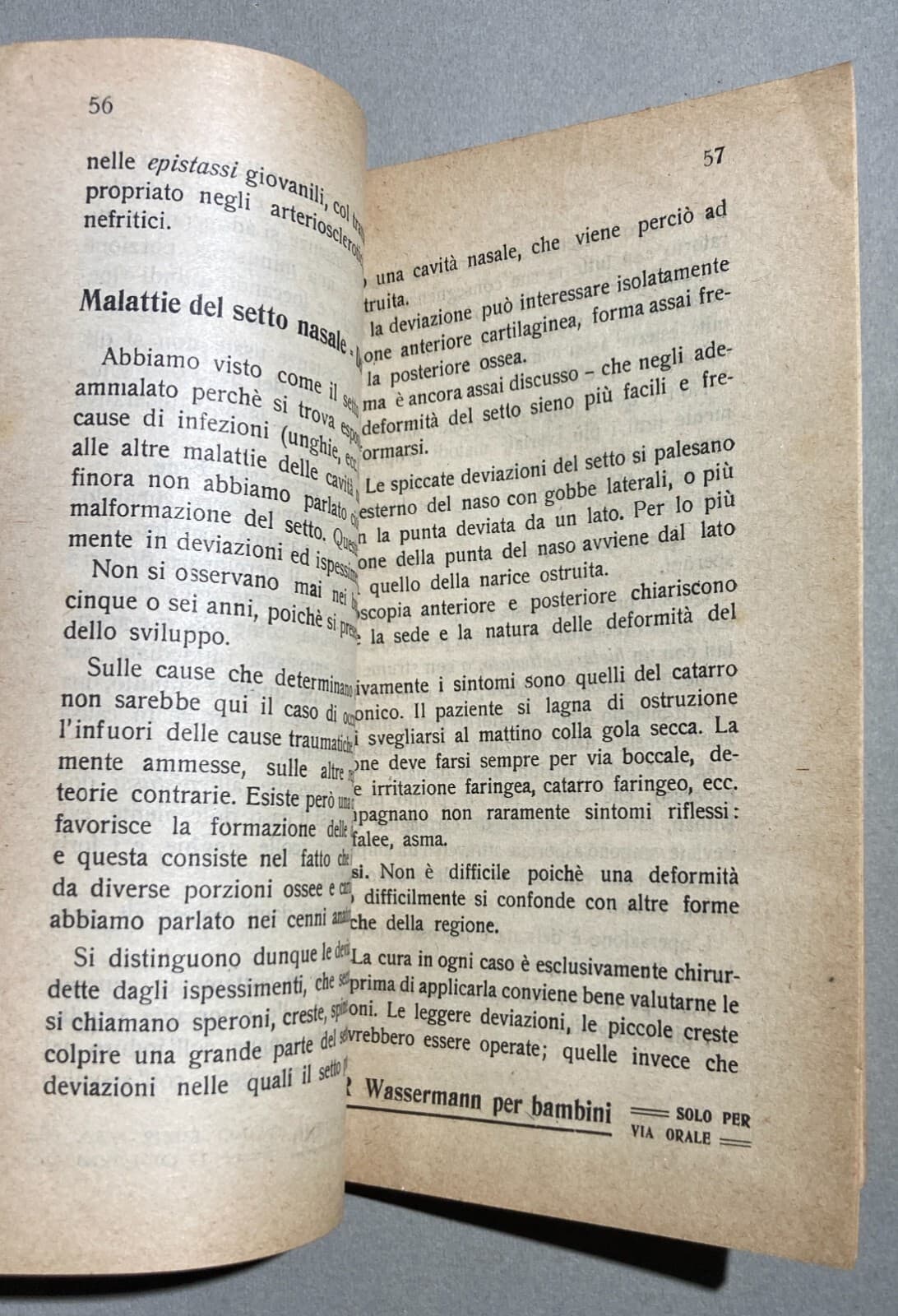 Medicina: Otorinolaringoiatria   Naso, Fosse Nasali E Olfatto