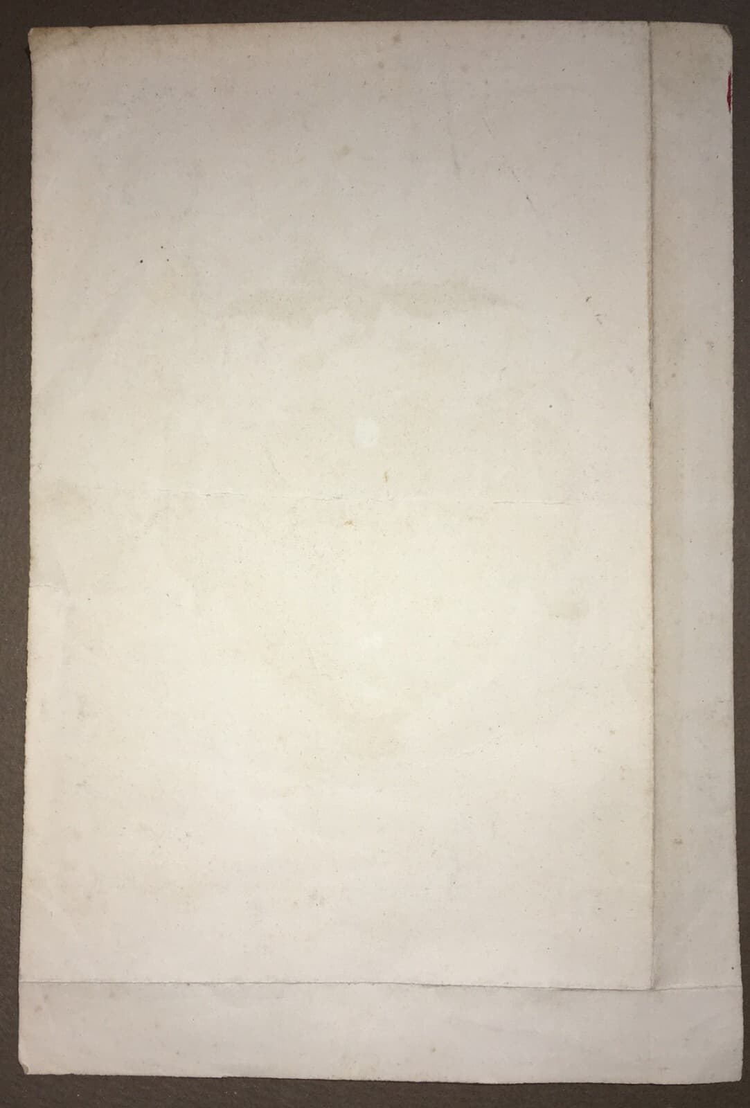 Araldica: Antico Stemma Allegorico Della Nuova Granata. Litografia A Colori Di Bertotti, XIX Secolo