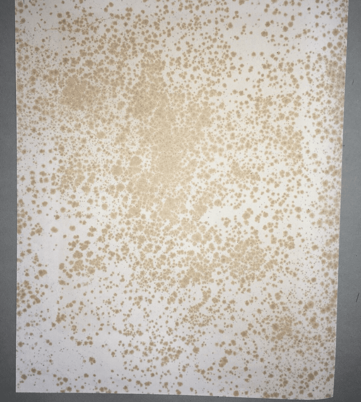 Francia: Armata Francese, Soldati Della Guardia Nazionale Nel Dipartimento Della Senna