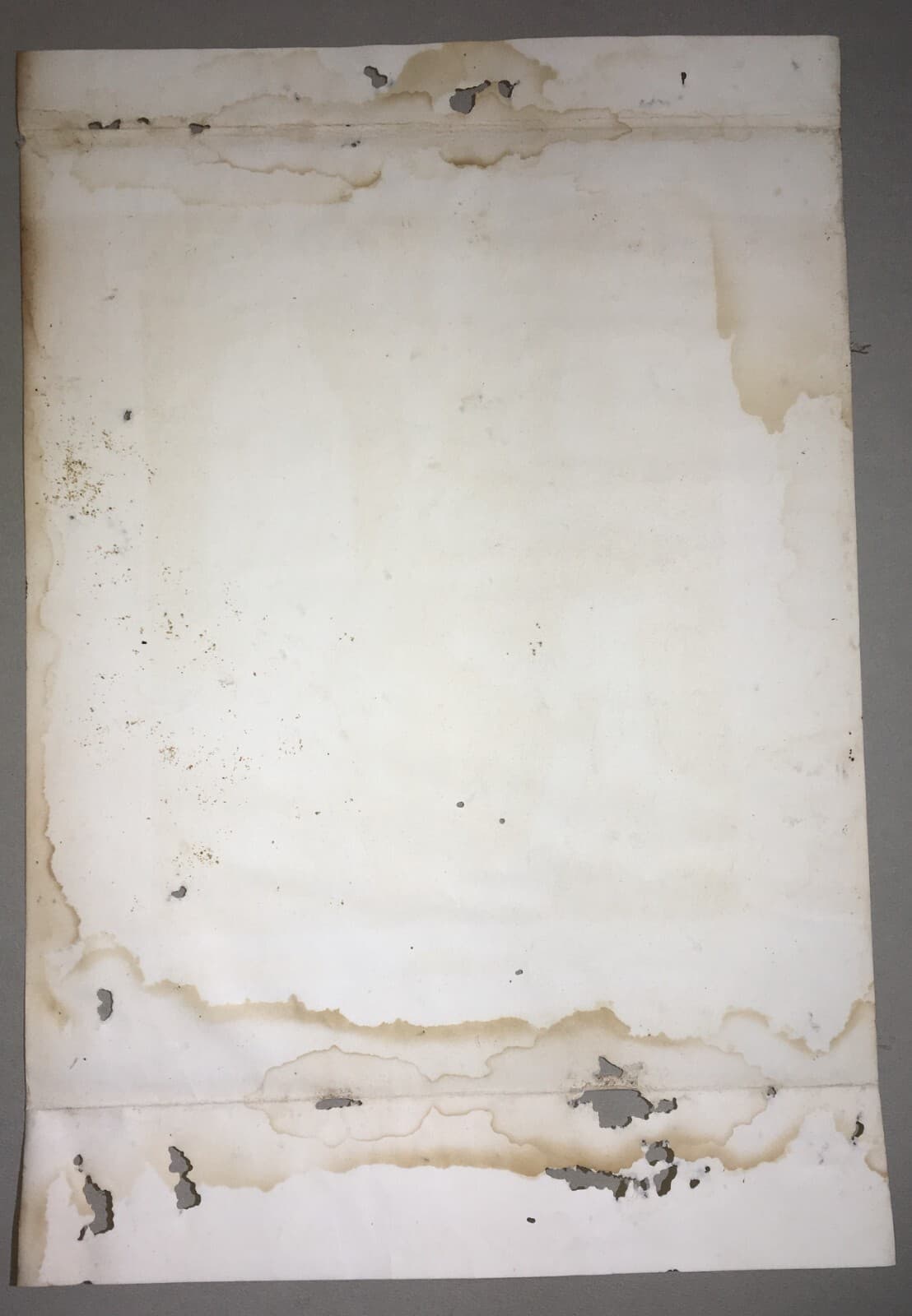 Antica Stampa Popolare Devozionale   Immacolata Concezione   Madonna Di Lourdes   XIX Secolo