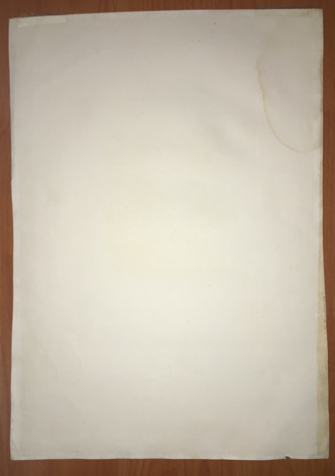 Pietro Berrettini (Pietro Da Cortona), Autoritratto. Incisione Di V. Della Bruna, 1850 Circa.