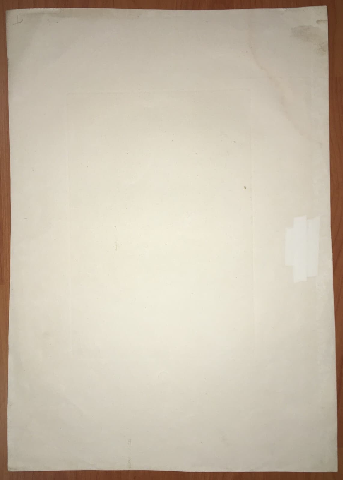 Pietro Buonaccorsi Detto Perin Del Vaga, Autoritratto. Incisione Di Levi Pollacco, Achille Paris, Metà XIX Secolo