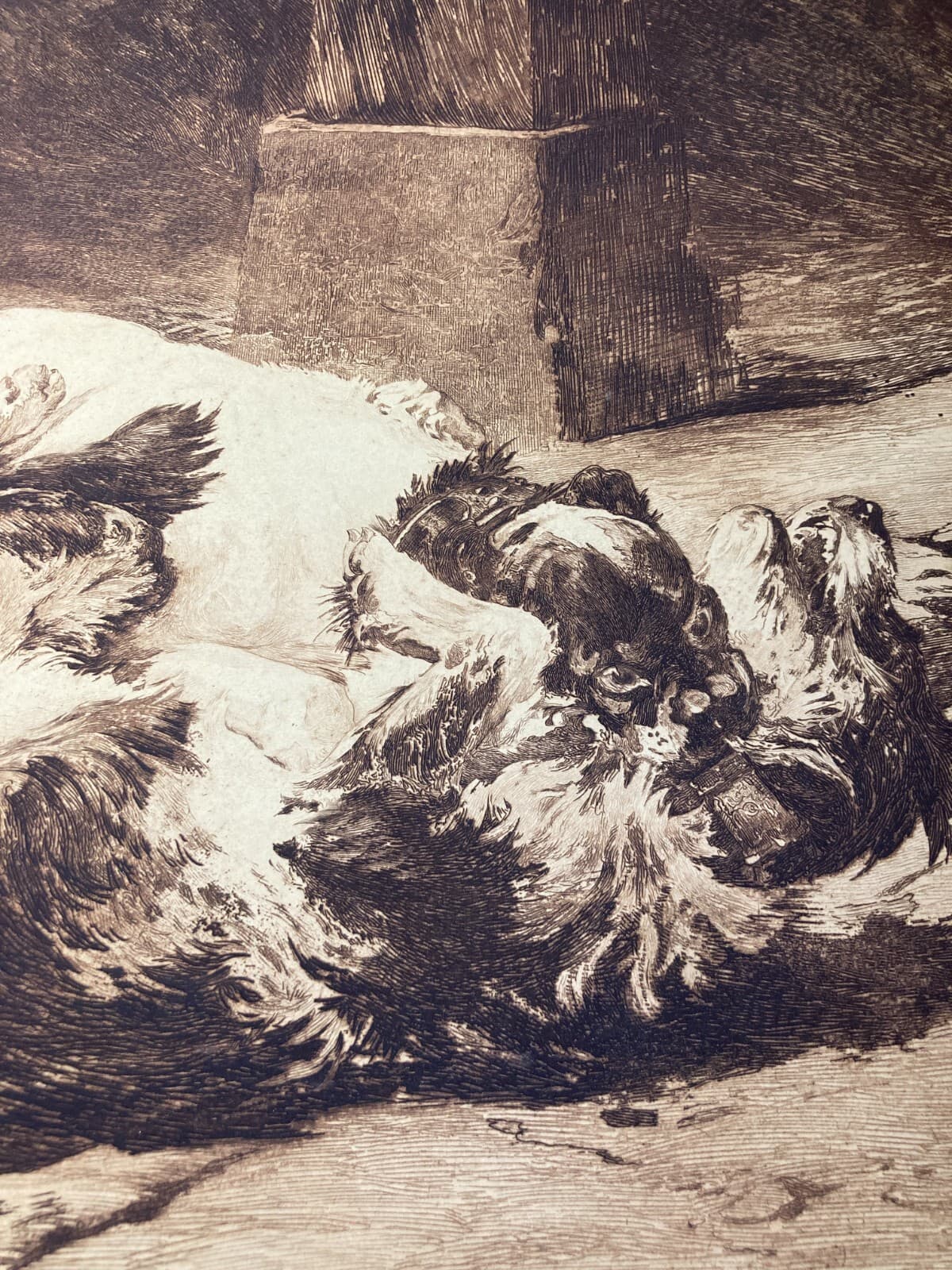 Charles Herrmann Léon   Bastien De Beaupré: Grande Incisione "Lotta Tra Cani"