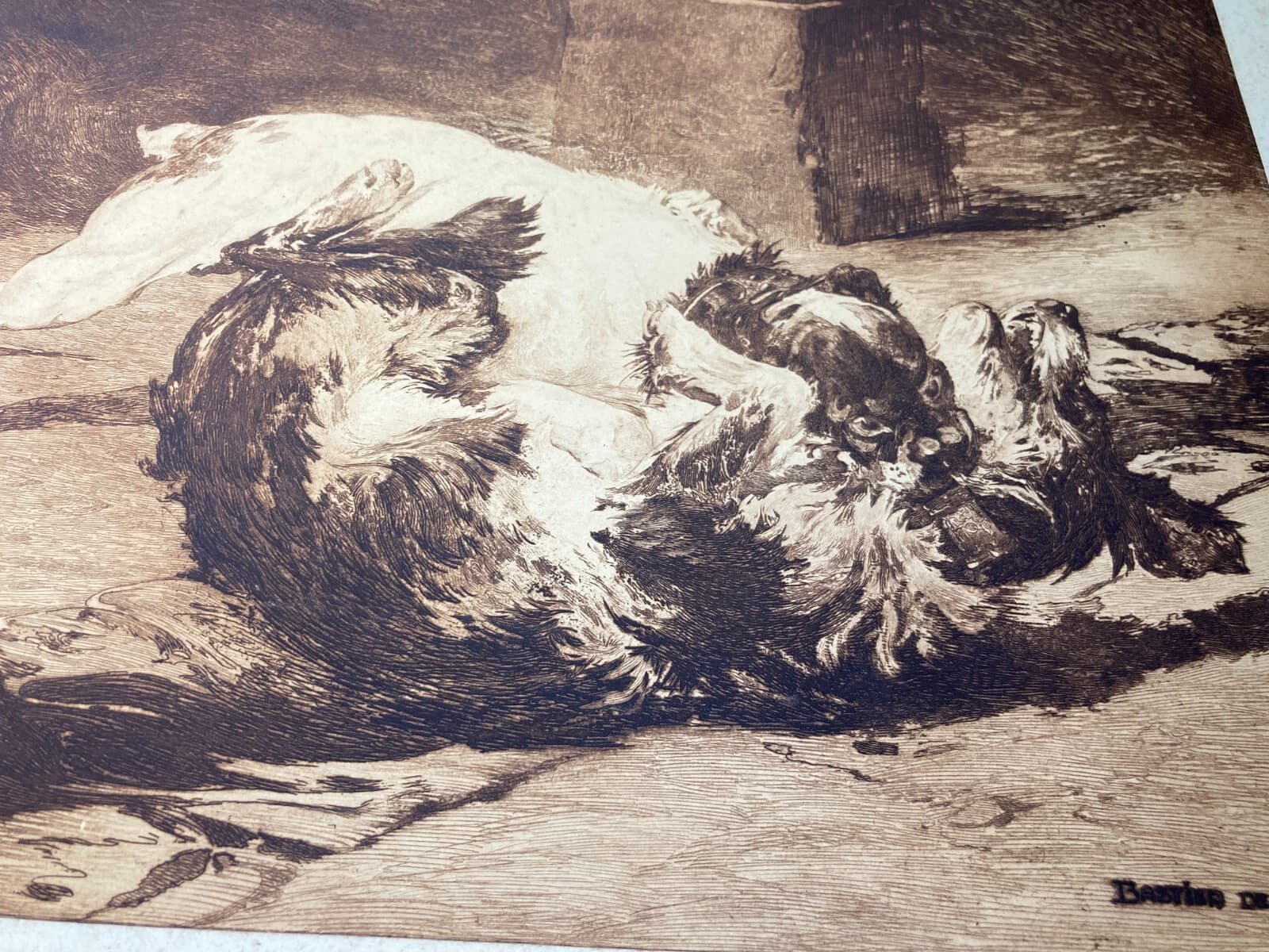 Charles Herrmann Léon   Bastien De Beaupré: Grande Incisione "Lotta Tra Cani"