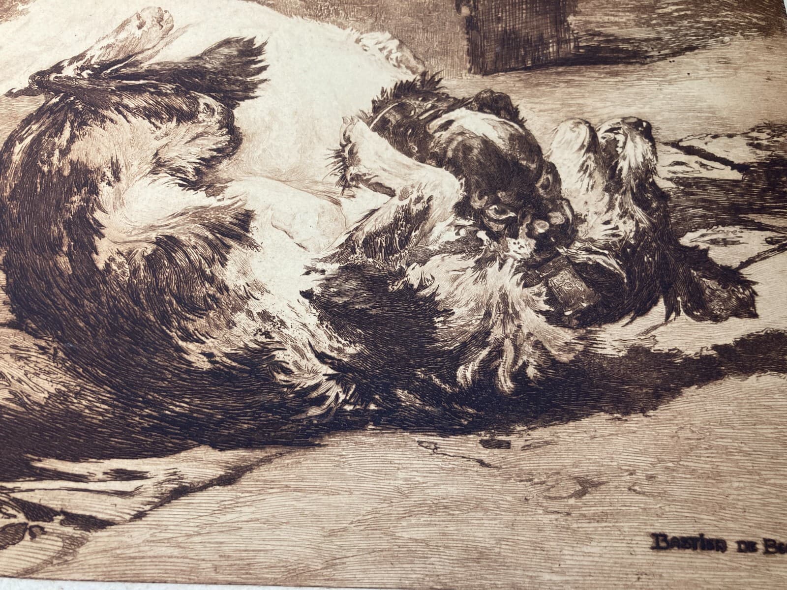 Charles Herrmann Léon   Bastien De Beaupré: Grande Incisione "Lotta Tra Cani"