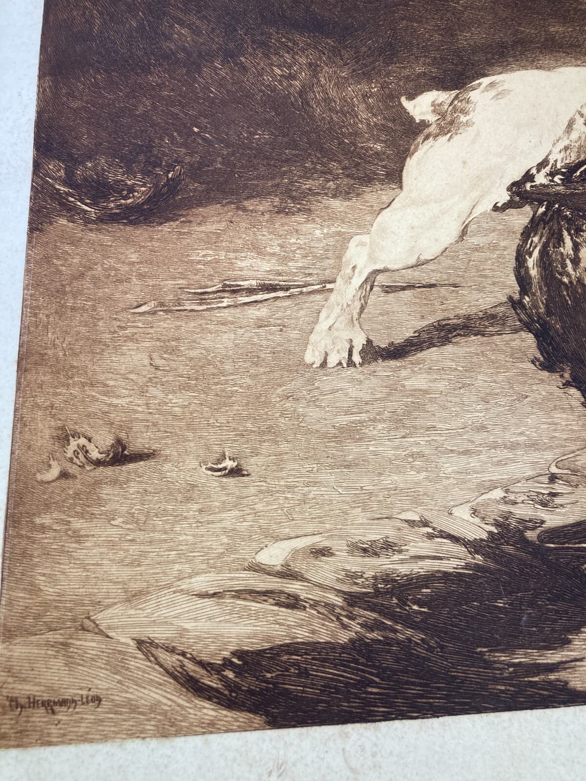 Charles Herrmann Léon   Bastien De Beaupré: Grande Incisione "Lotta Tra Cani"