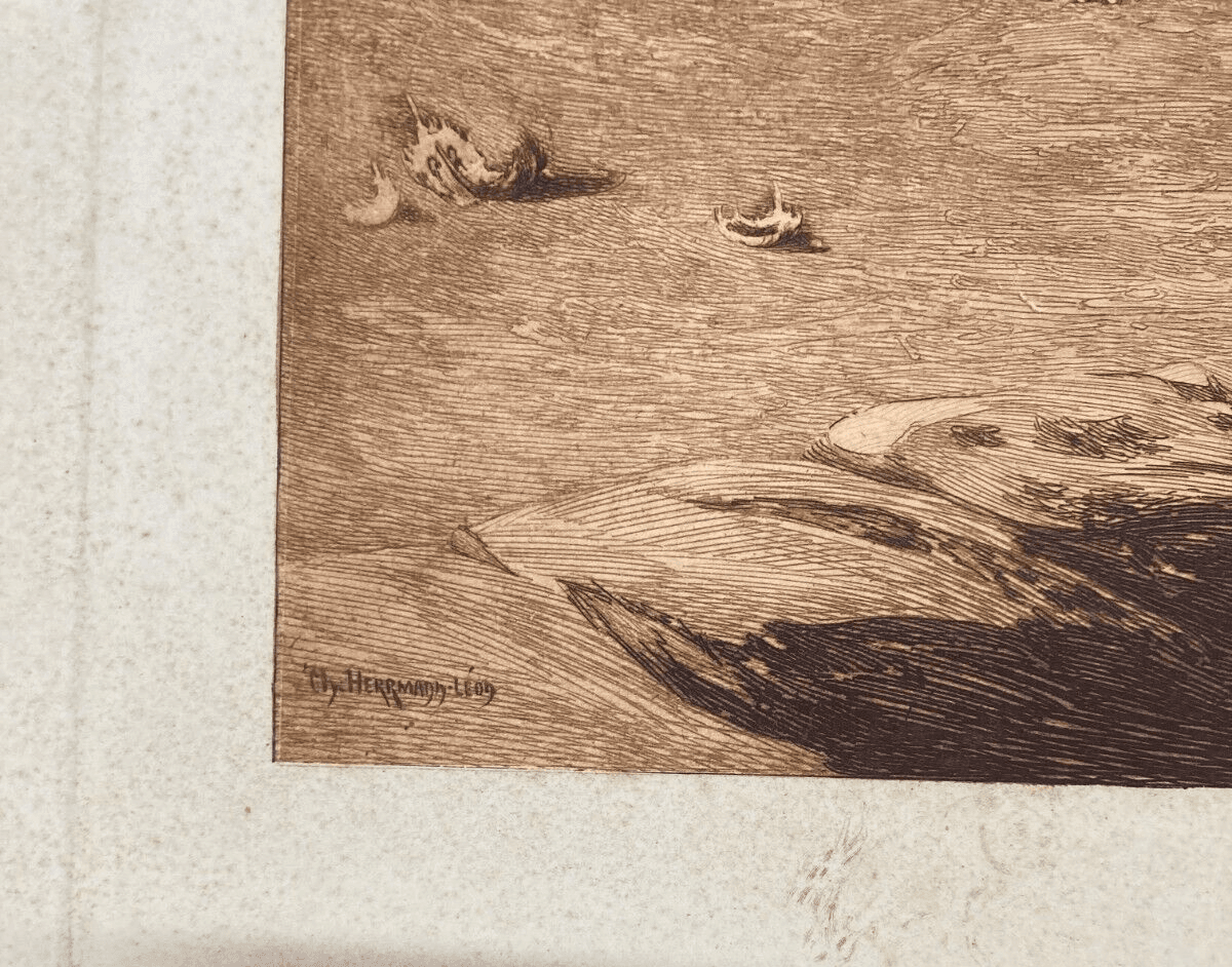 Charles Herrmann Léon   Bastien De Beaupré: Grande Incisione "Lotta Tra Cani"