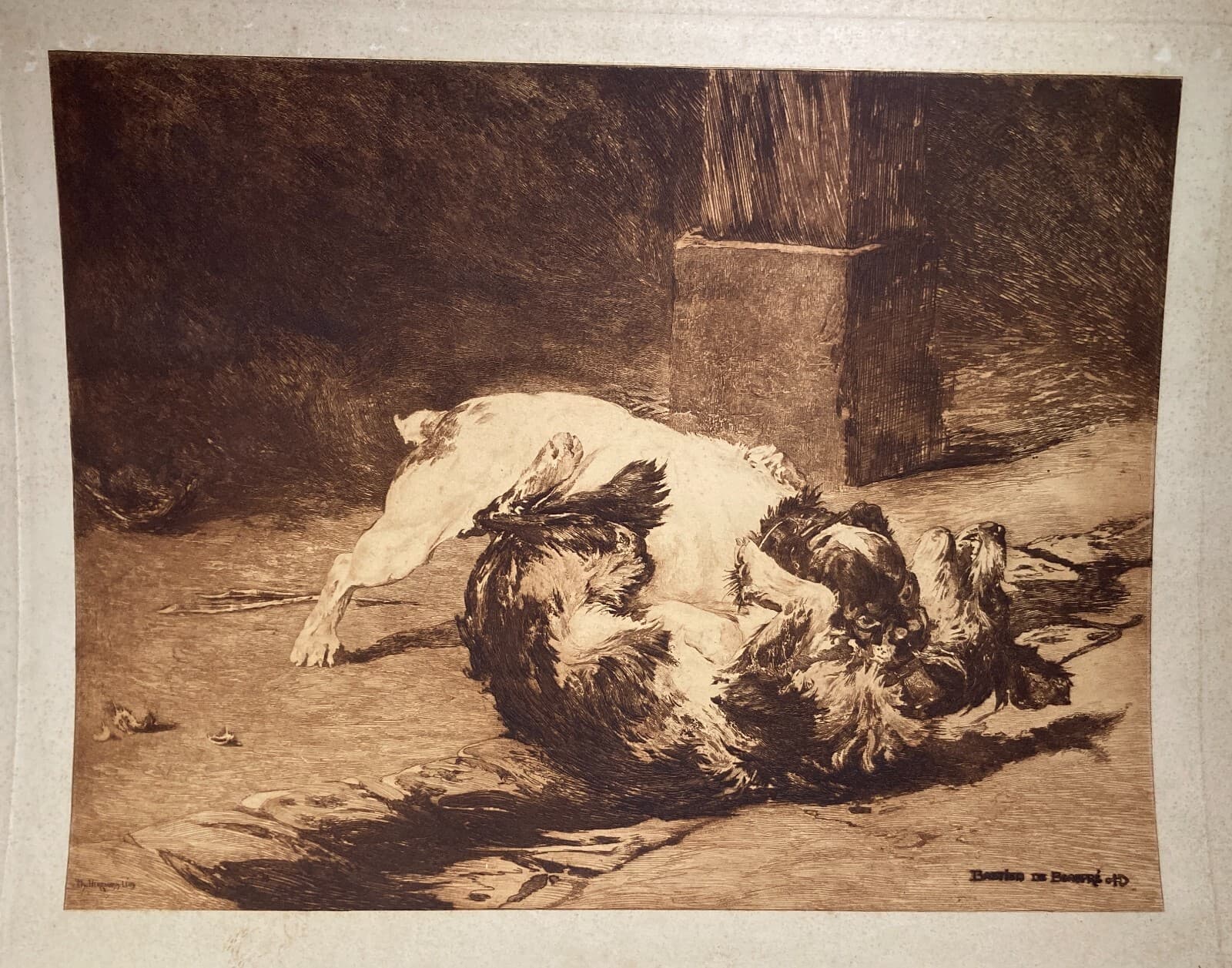 Charles Herrmann Léon   Bastien De Beaupré: Grande Incisione "Lotta Tra Cani"