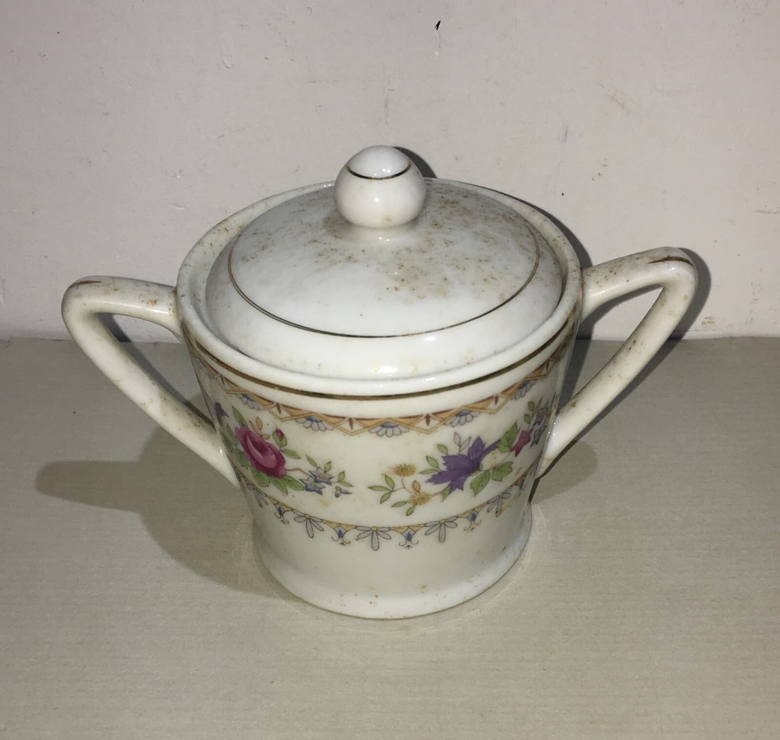 Servizio Da Caffè Royal Porzelan Con Decoro Floreale, Metà '900