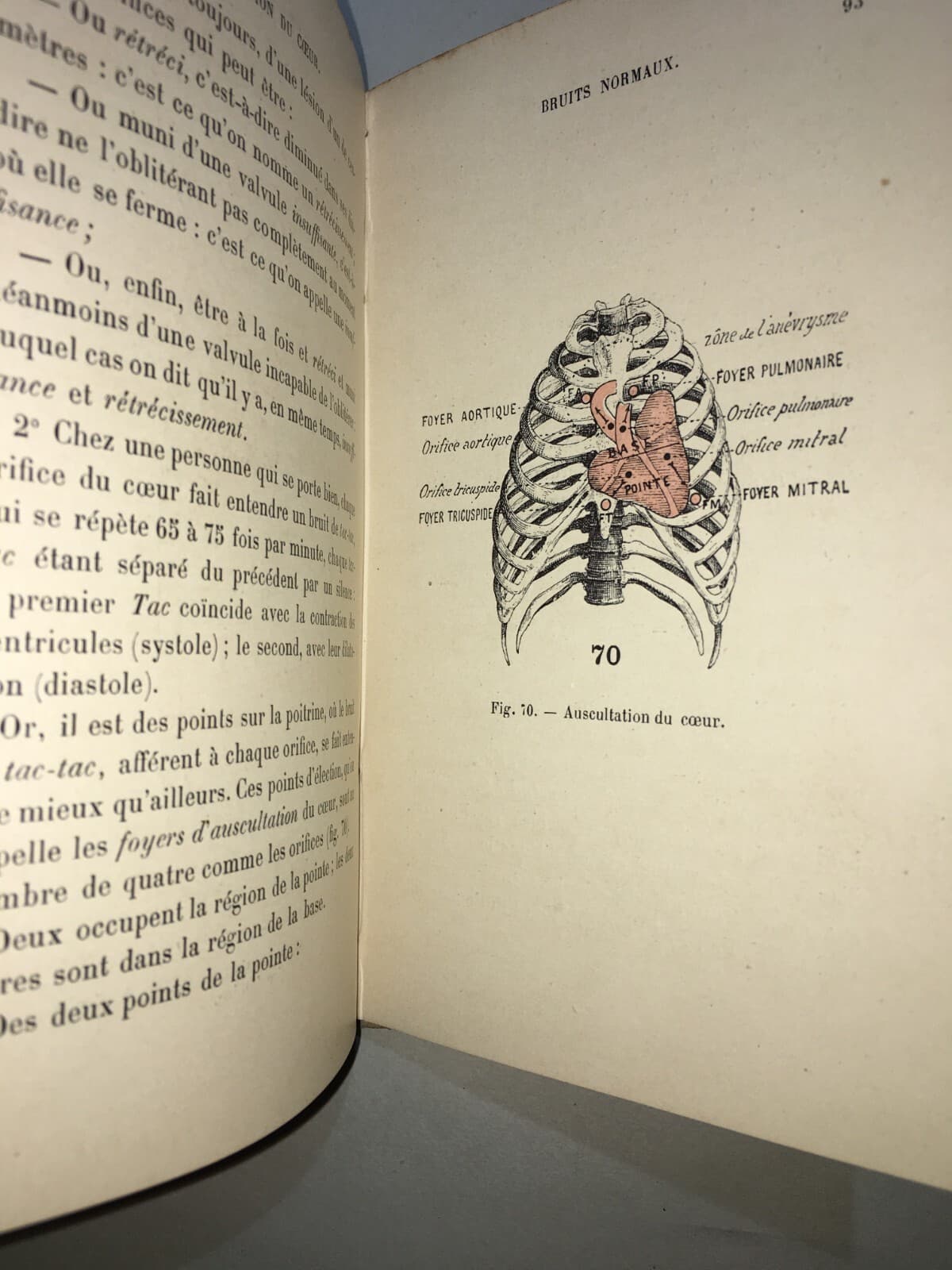 Medicina: Cardiologia, Ascoltazione Del Cuore E Pneumologia. Dr. Coiffier, 1897