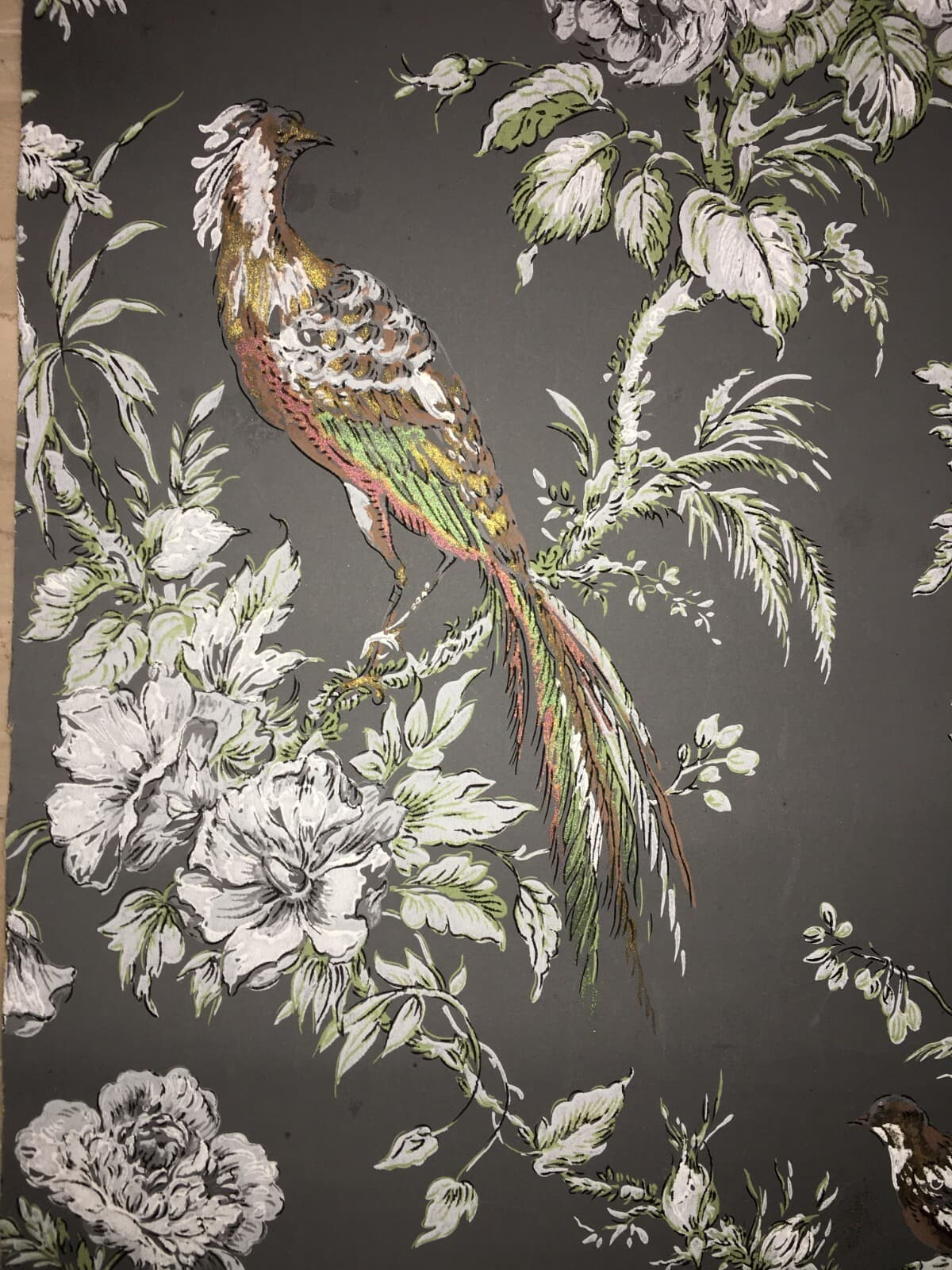 Arte E Decorazione: Carta Da Parato Pochoir Con Uccelli E Pappagalli