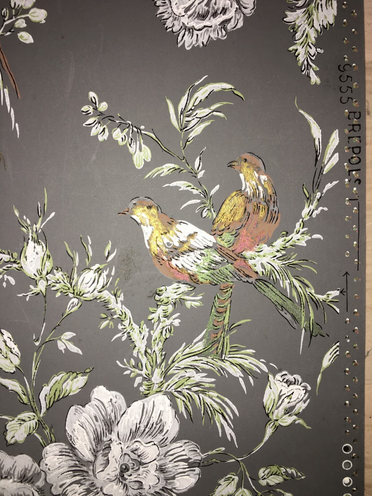 Arte E Decorazione: Carta Da Parato Pochoir Con Uccelli E Pappagalli