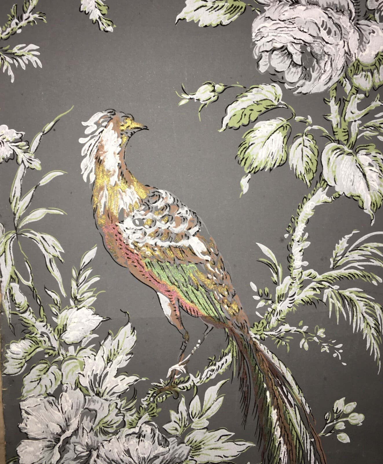 Arte E Decorazione: Carta Da Parato Pochoir Con Uccelli E Pappagalli