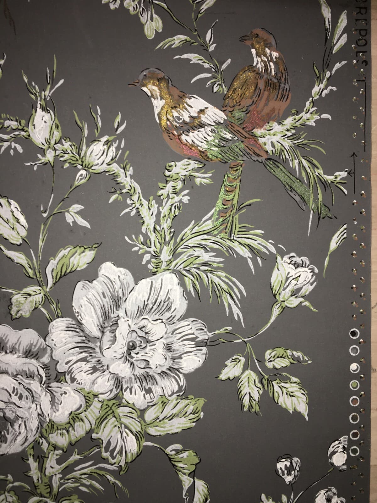 Arte E Decorazione: Carta Da Parato Pochoir Con Uccelli E Pappagalli