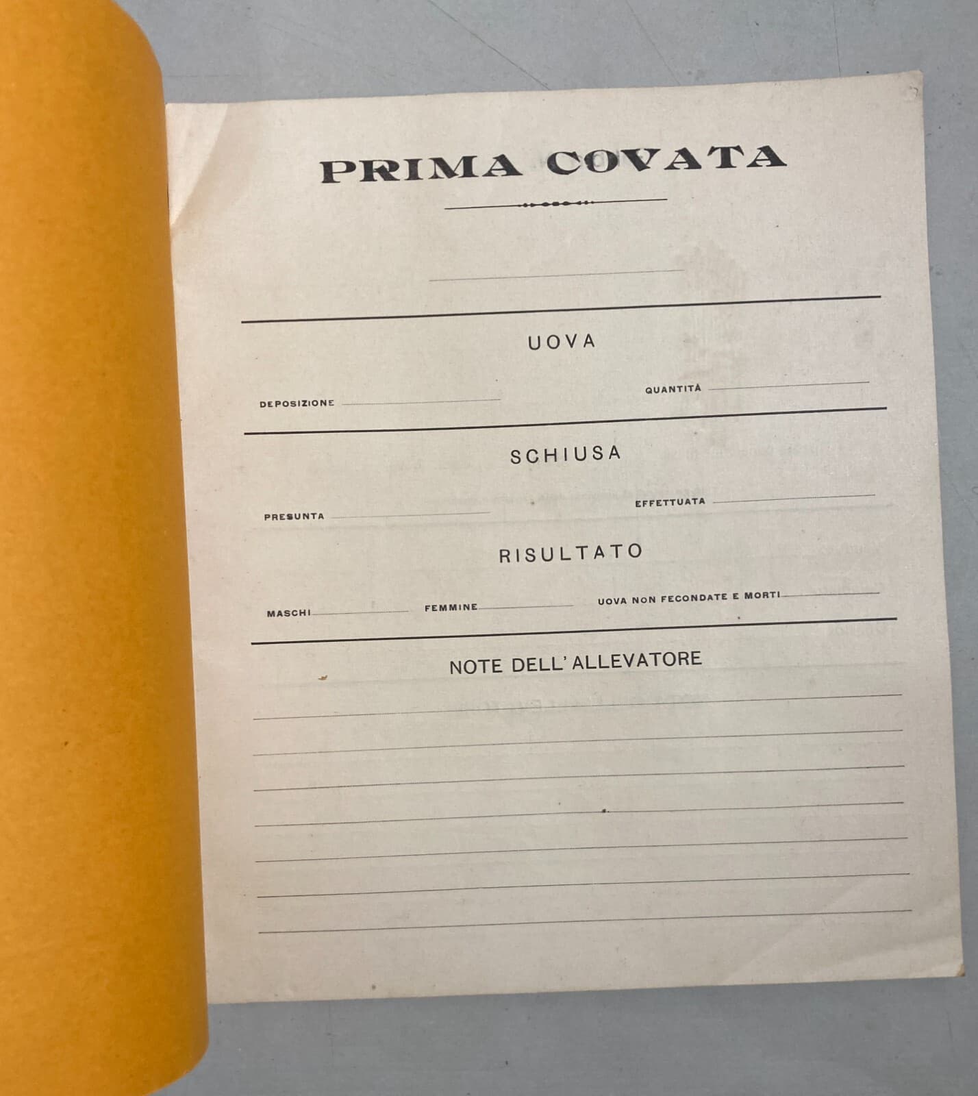 Abruzzo   Loreto Aprutino   Agraria   Zootecnia   Allevamento   Schedatura Covate