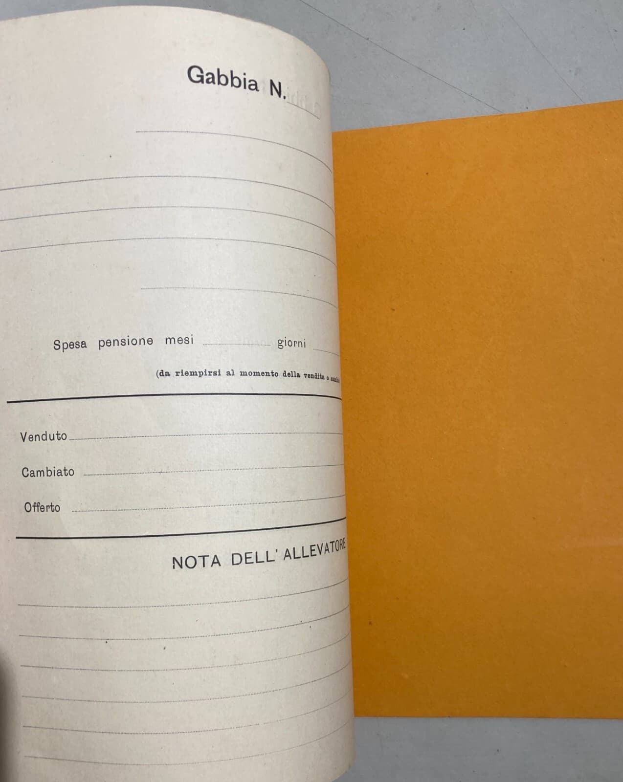 Abruzzo   Loreto Aprutino   Agraria   Zootecnia   Allevamento   Schedatura Covate