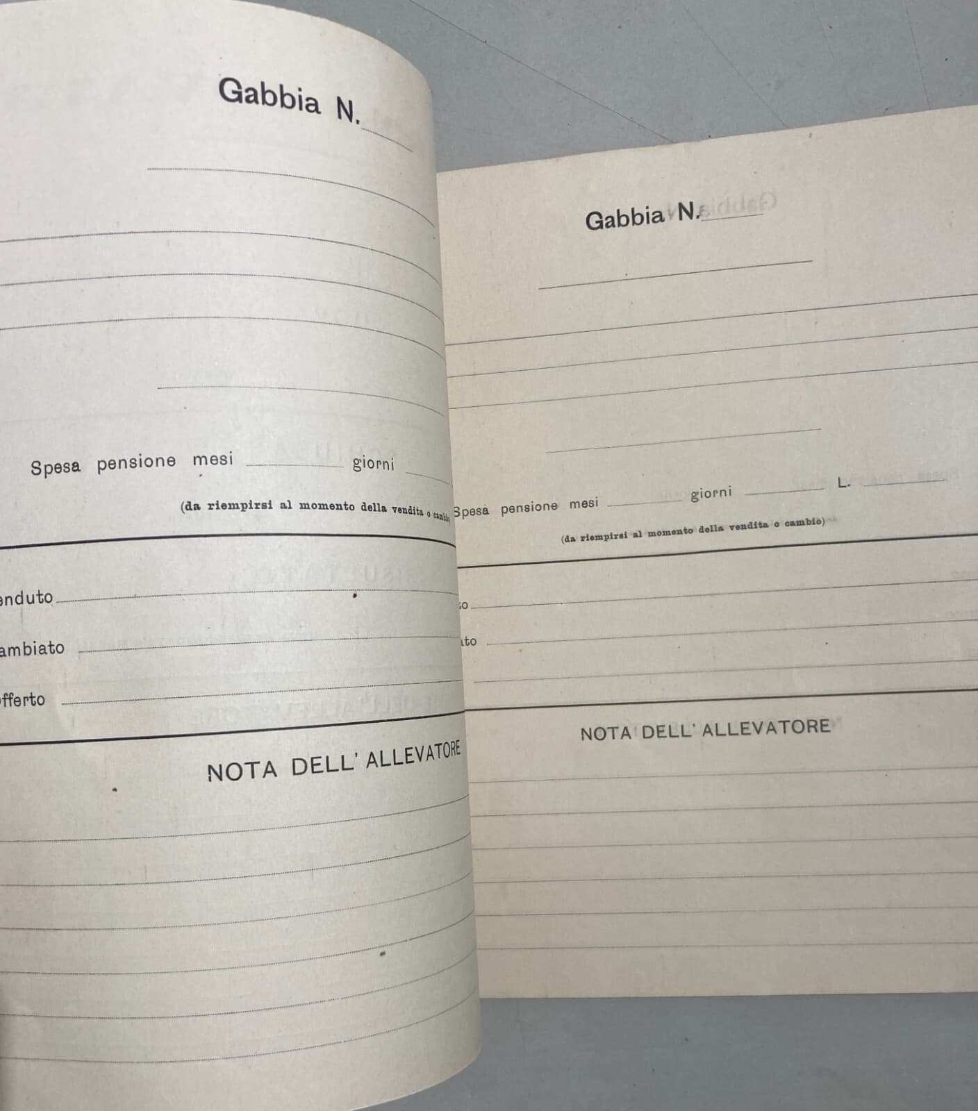 Abruzzo   Loreto Aprutino   Agraria   Zootecnia   Allevamento   Schedatura Covate