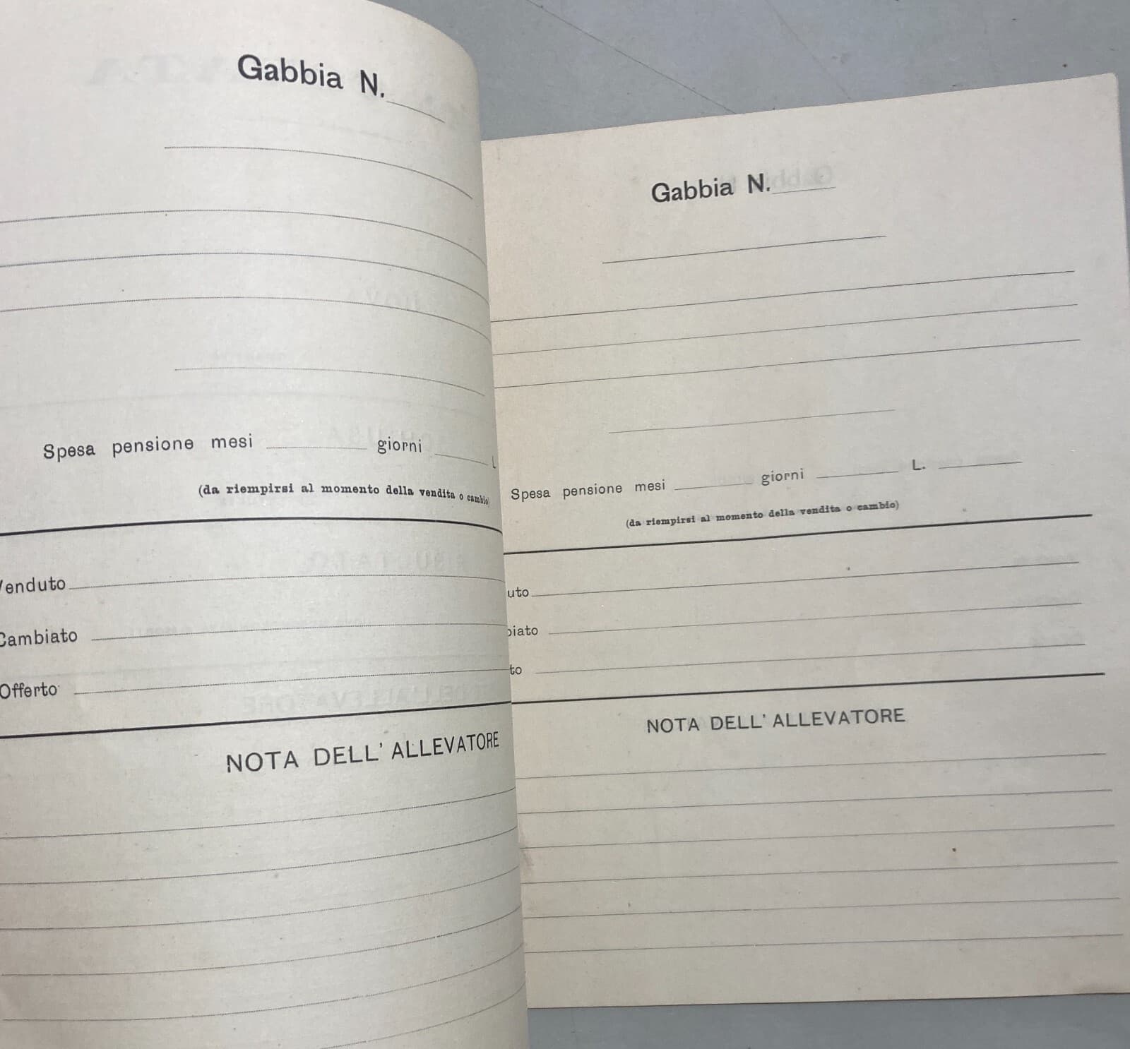 Abruzzo   Loreto Aprutino   Agraria   Zootecnia   Allevamento   Schedatura Covate