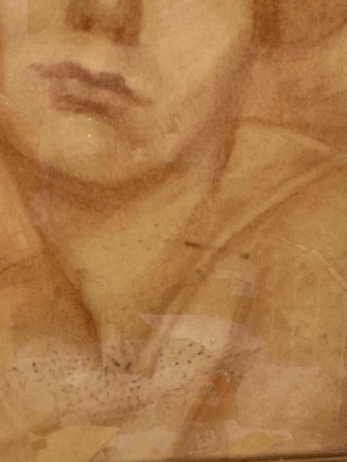 Ritratto Femminile, Disegno Originale A Sanguigna, XX Secolo