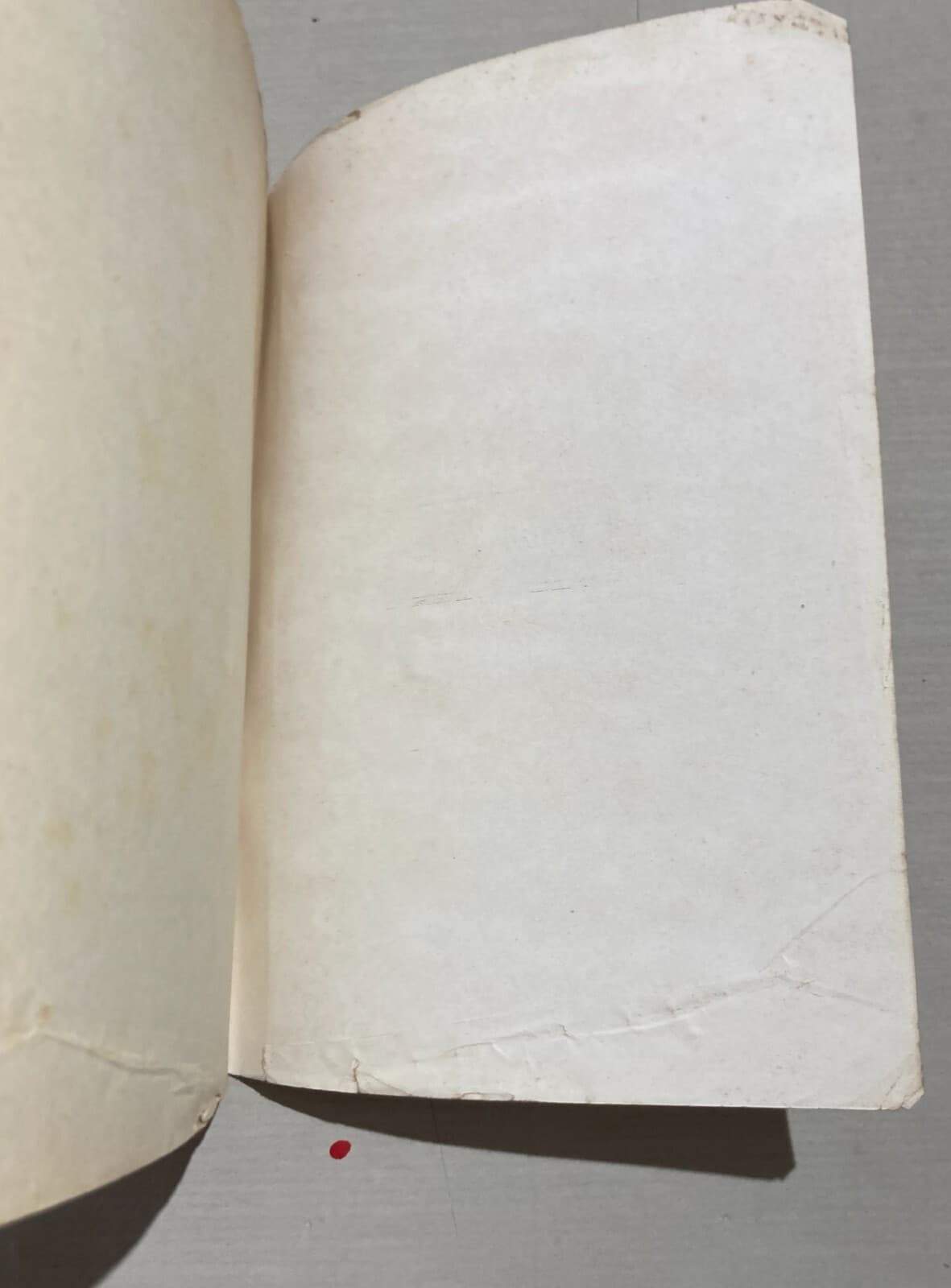 Trincee Di Carlo Salsa (1934)