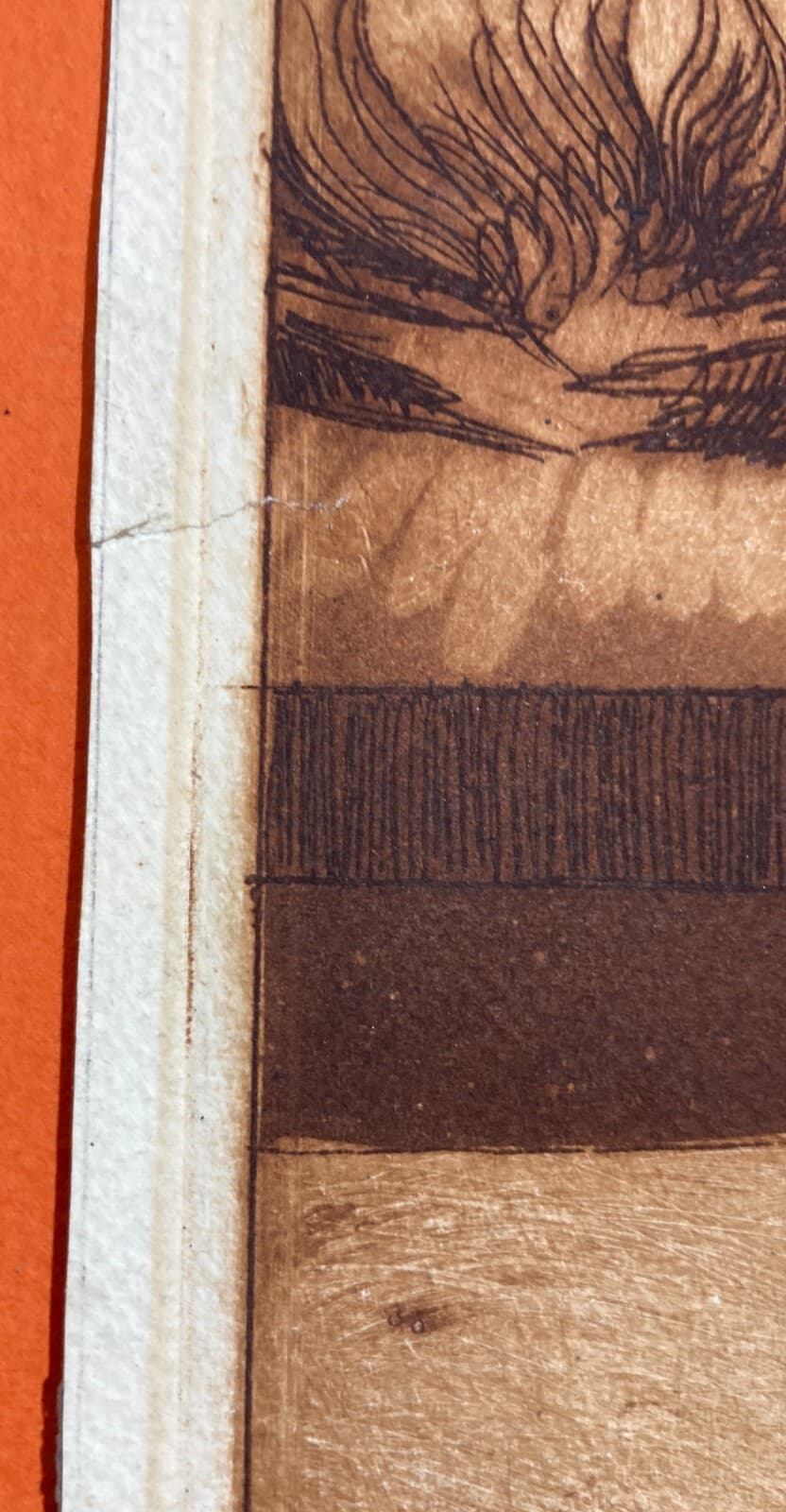 Folklore: Veduta Di Interno Con Focolare E Arredo Popolare