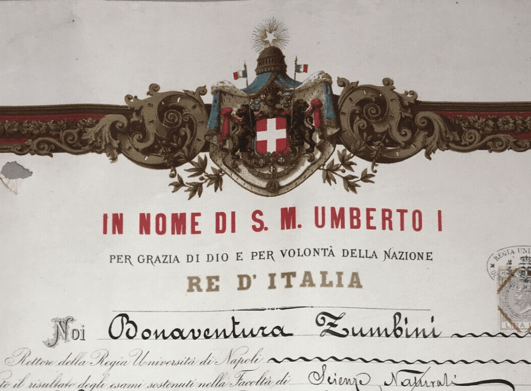 Diploma Di Laurea In Farmacia, Università Di Napoli, 1882