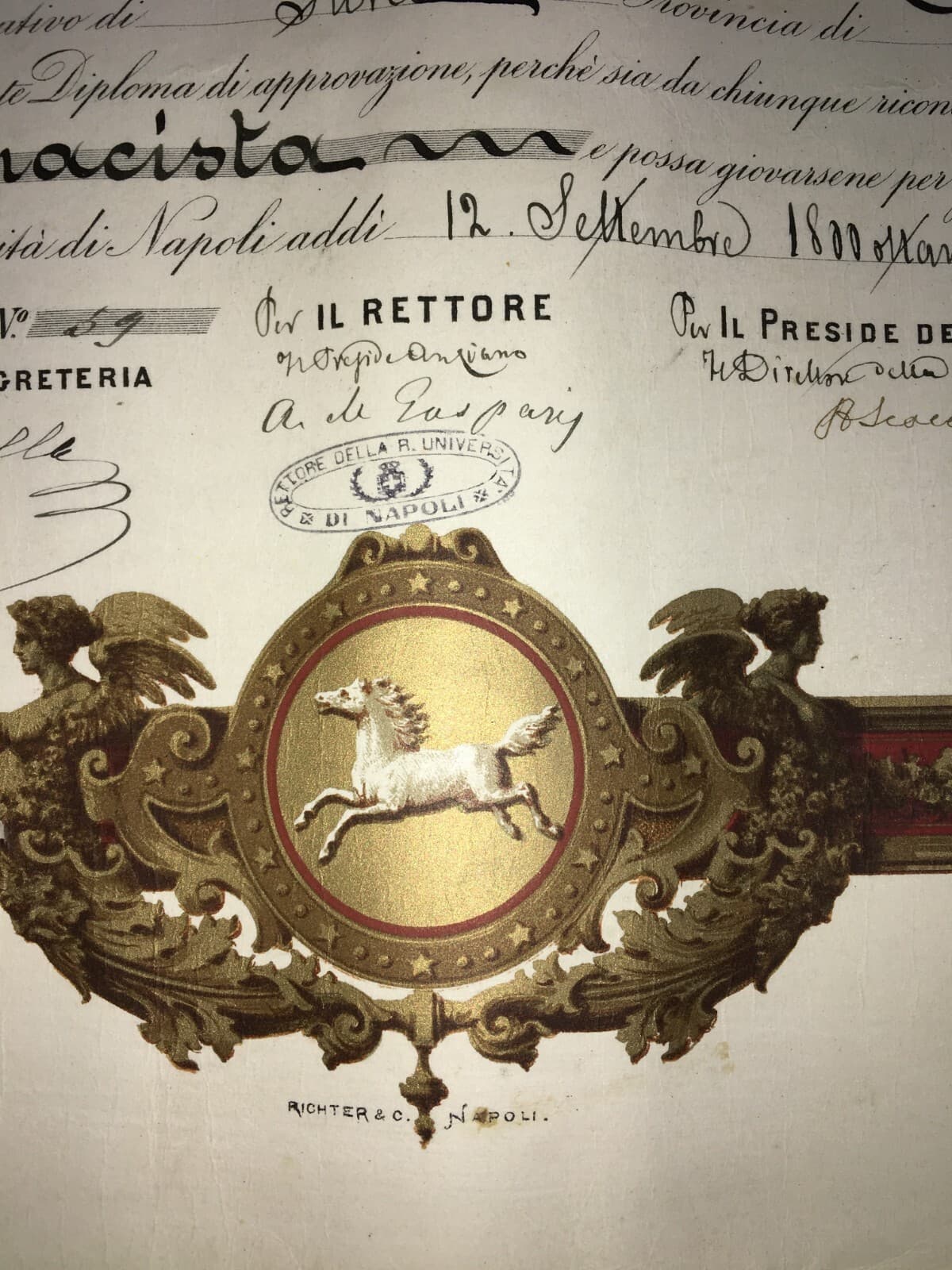 Diploma Di Laurea In Farmacia, Università Di Napoli, 1882