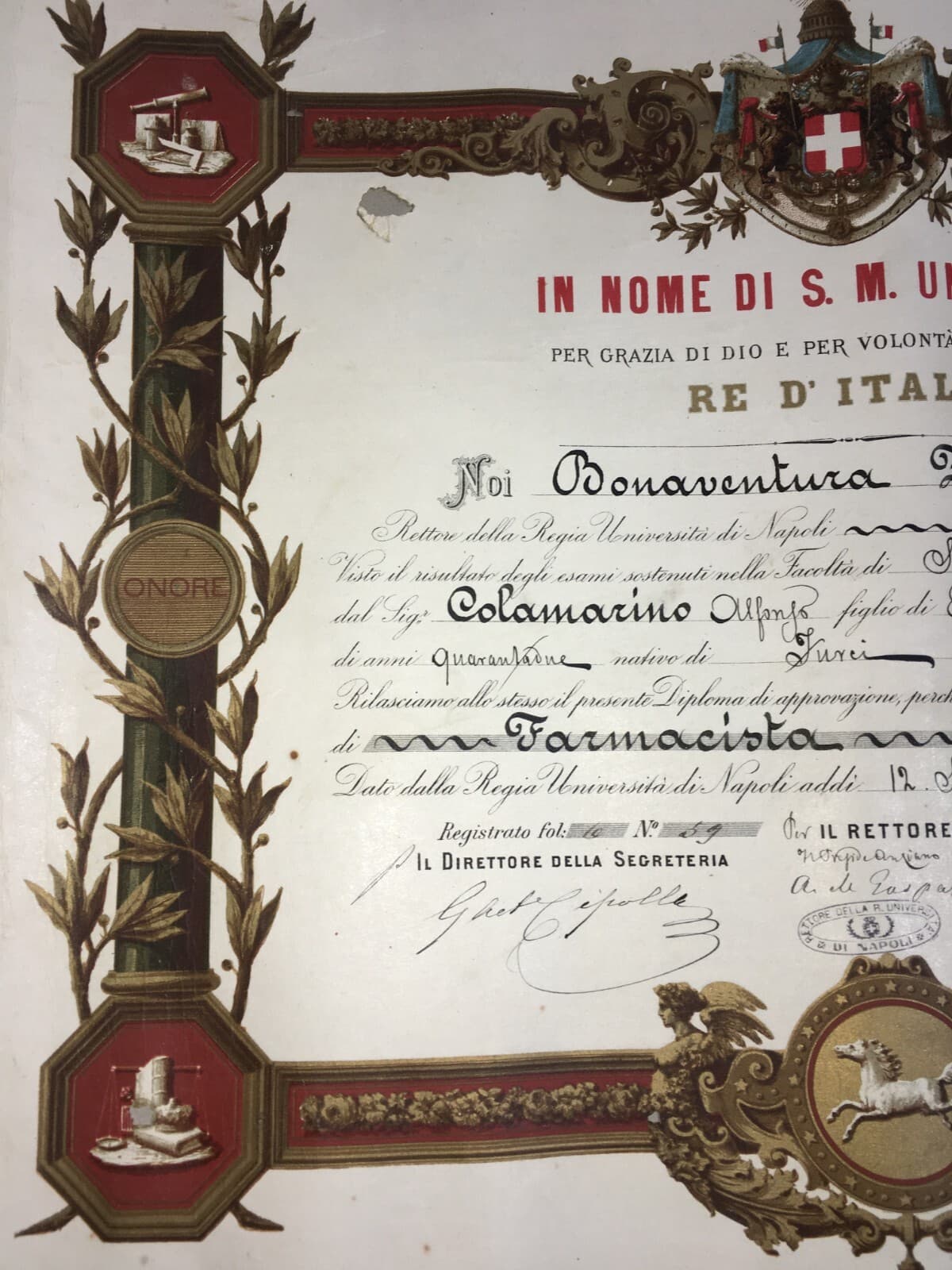 Diploma Di Laurea In Farmacia, Università Di Napoli, 1882