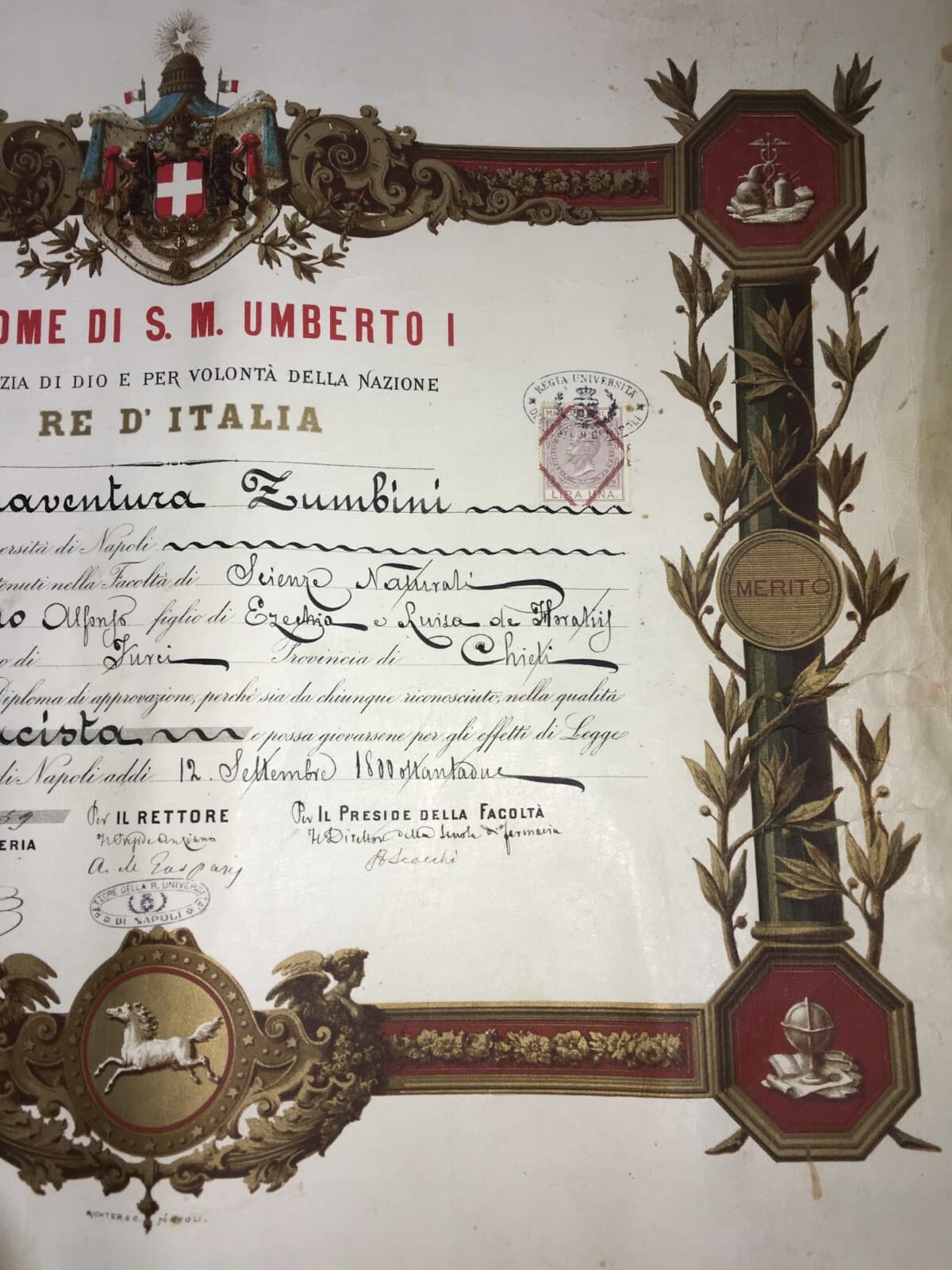Diploma Di Laurea In Farmacia, Università Di Napoli, 1882