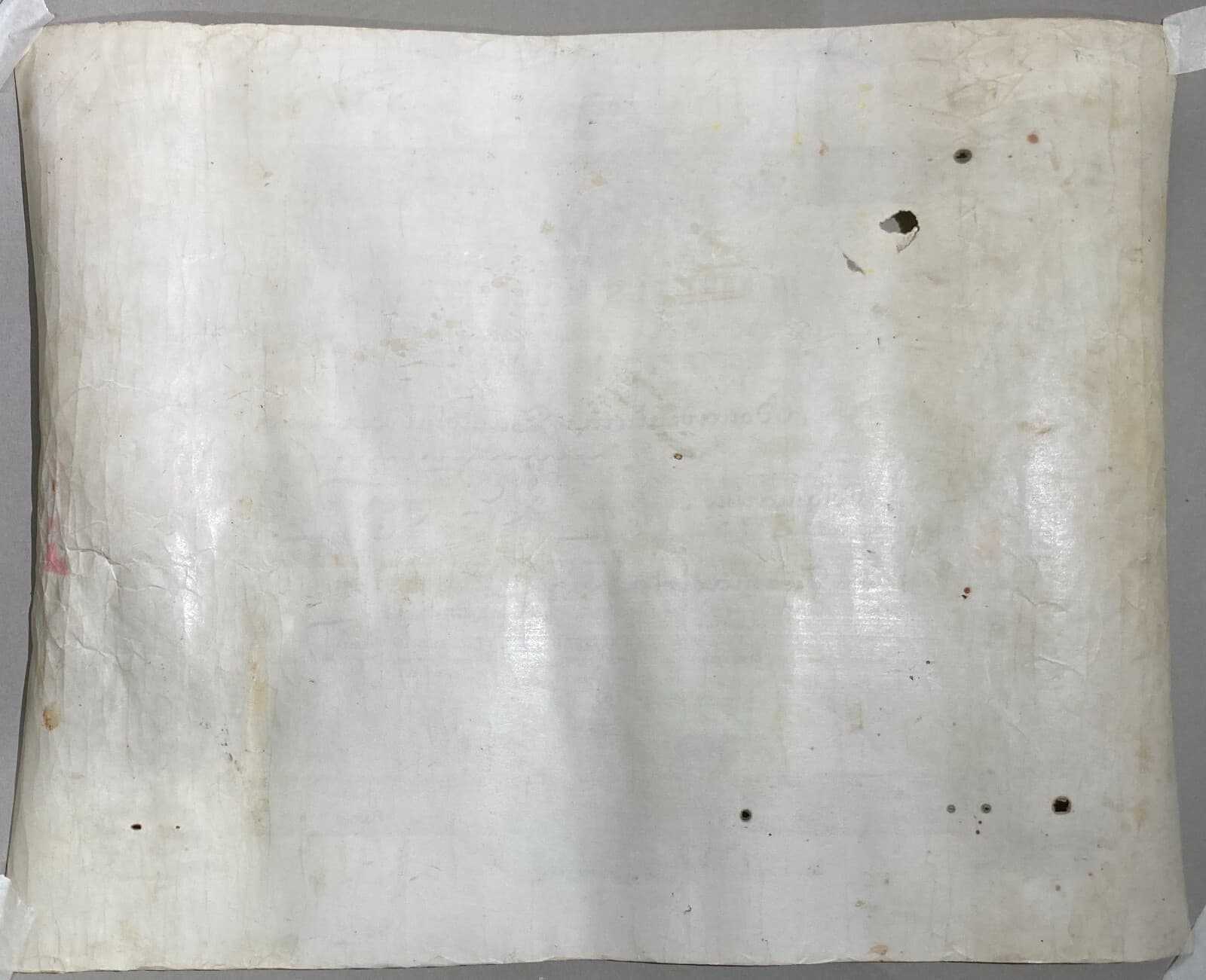 Diploma Di Laurea In Farmacia, Università Di Napoli, 1882