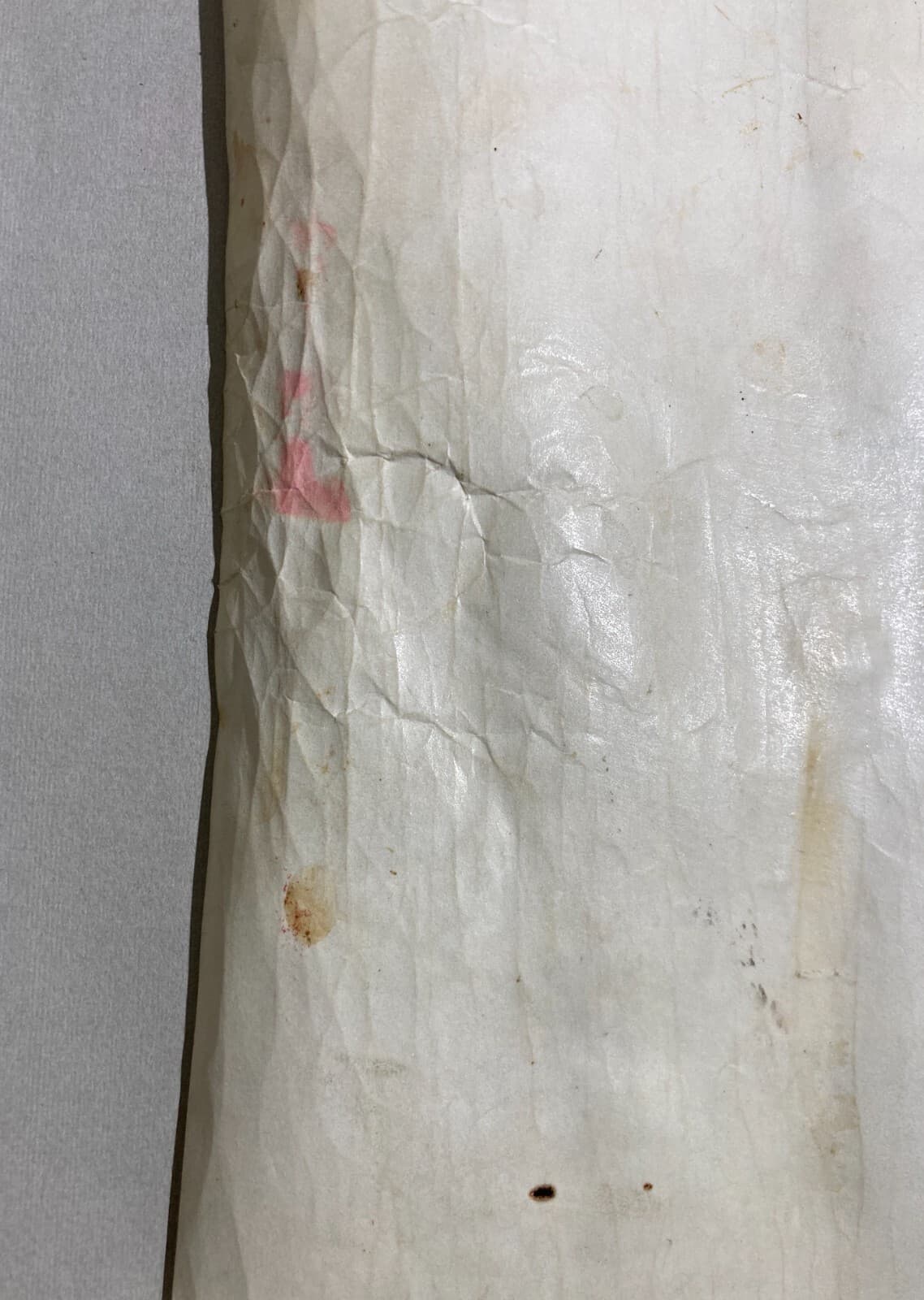 Diploma Di Laurea In Farmacia, Università Di Napoli, 1882