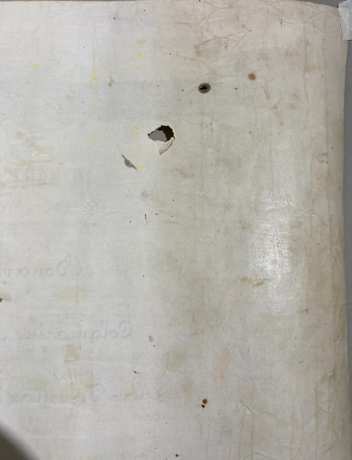 Diploma Di Laurea In Farmacia, Università Di Napoli, 1882