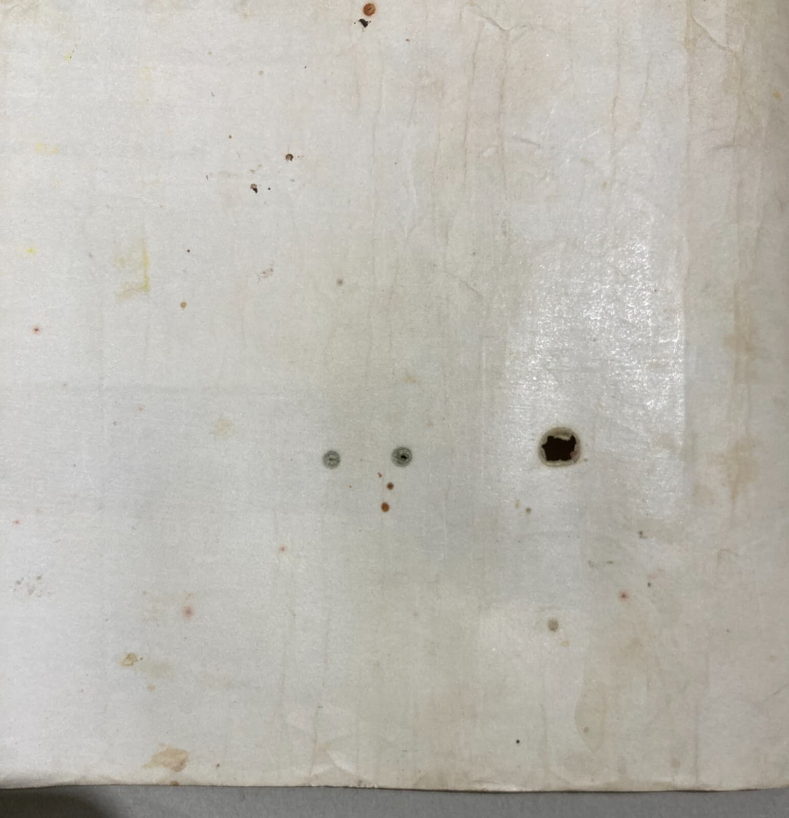 Diploma Di Laurea In Farmacia, Università Di Napoli, 1882